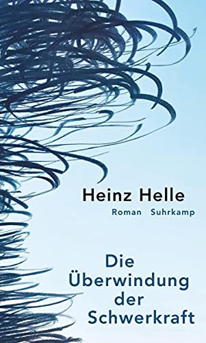 Cover of Die Überwindung der Schwerkraft