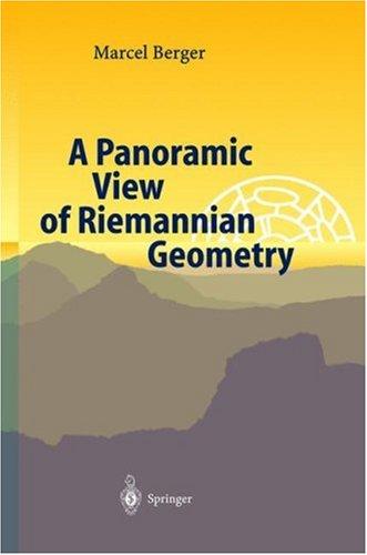 Cover of A panoramic view of Riemannian geometry
