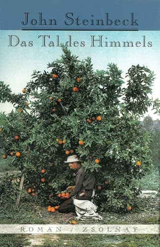 Cover of Das Tal des Himmels