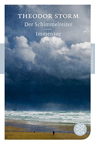 Cover of Der Schimmelreiter