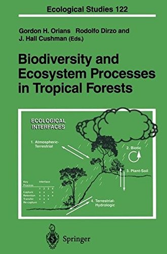 Cover of Biodiversity and ecosystem processes in tropical forests