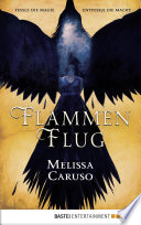 Cover of Flammenflug