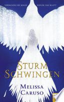 Cover of Sturmschwingen