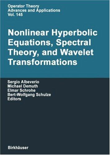 Cover of Nonlinear hyperbolic equations, spectral theory, and wavelet transformations