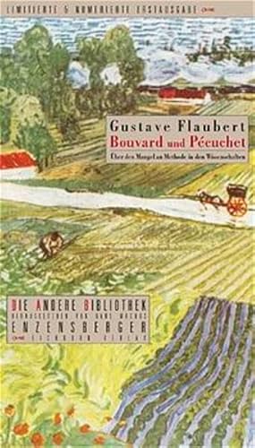 Cover of Bouvard und Pécuchet