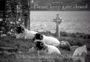 Cover of Please keep gate closed