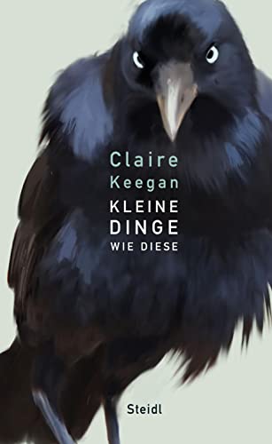 Cover of Kleine Dinge wie diese