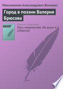 Cover of Город в поэзии Валерия Брюсова