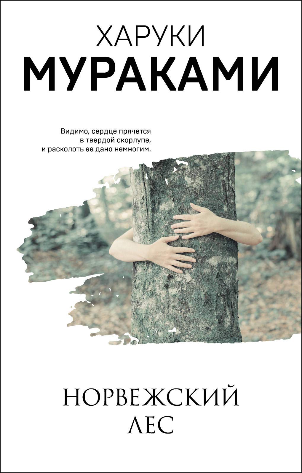 Cover of Norvezhskij les