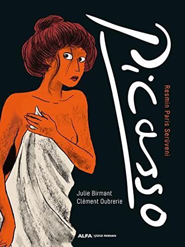 Cover of Picasso; Resmin Paris Serüveni