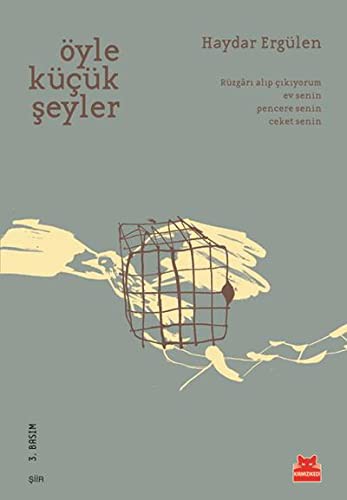 Cover of Öyle Kücük Seyler