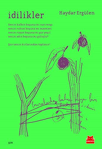 Cover of İdilikler