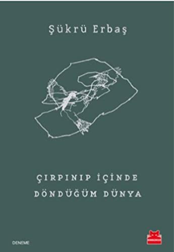 Cover of Cirpinip Icinde Döndügüm Dünya