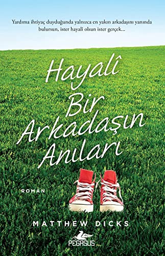 Cover of Hayali Bir Arkadasin Anilari