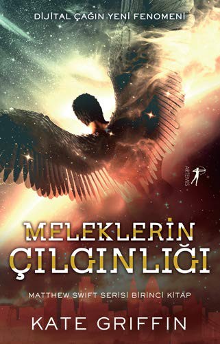 Cover of Meleklerin Cilginligi