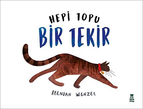 Cover of Hepi Topu Bir Tekir