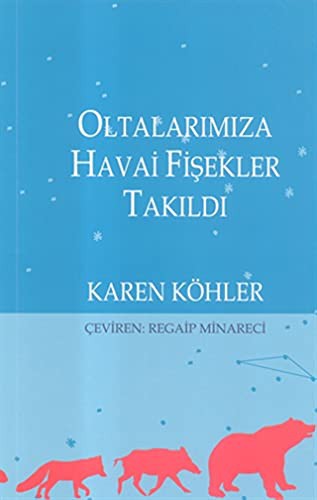 Cover of Oltalarimiza Havai Fisekler Takildi