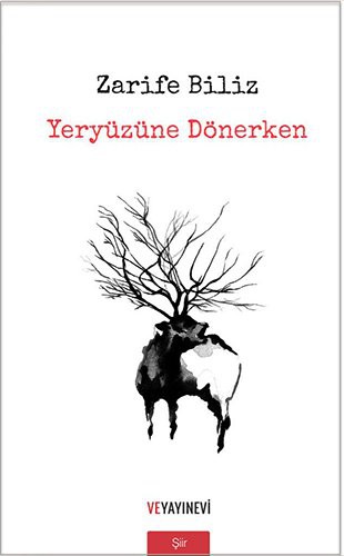 Cover of Yeryuzune Donerken
