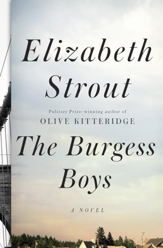 Cover of The Burgess Boys