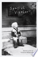 Cover of Spațiul viselor