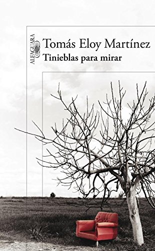Cover of Tinieblas para mirar