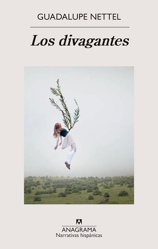Cover of Los divagantes