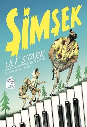 Cover of Simsek