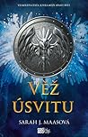 Cover of Věž úsvitu