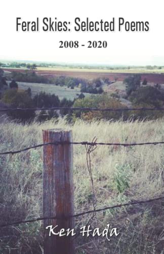 Cover of Feral Skies