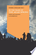 Cover of In the wake of the arab spring