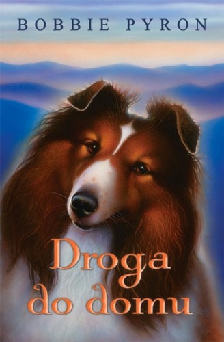 Cover of Droga do domu