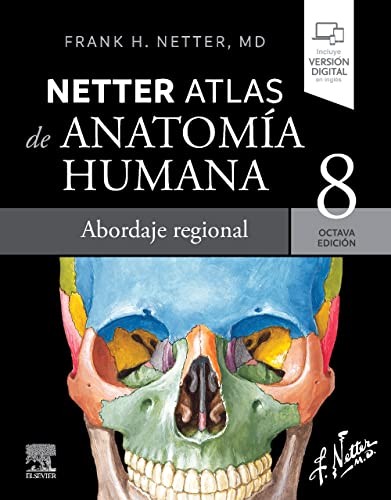 Cover of Netter. Atlas de anatomía humana. Abordaje regional