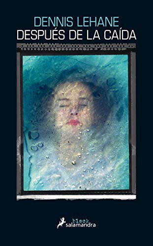 Cover of Después de la caída
