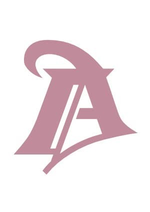 Cover of La representación de los trabajadores y trabajadoras en la empresa