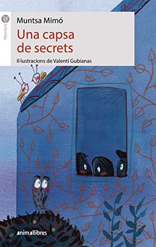 Cover of Una capsa de secrets
