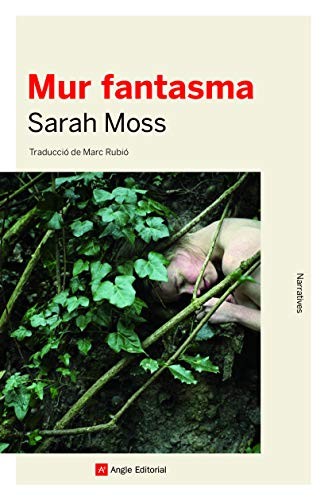 Cover of Mur fantasma