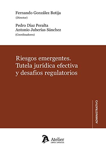 Cover of Riesgos emergentes.