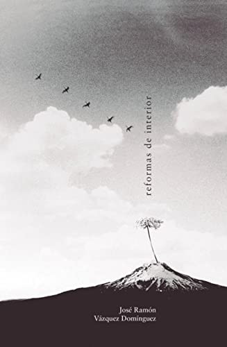 Cover of Reformas de interior
