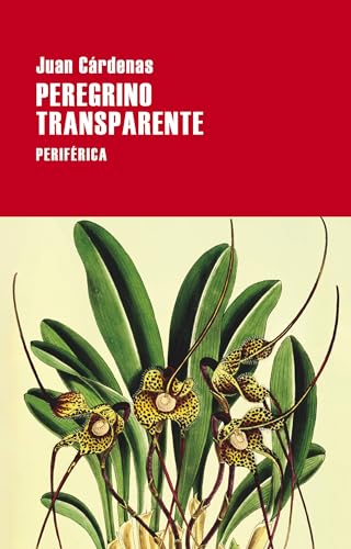 Cover of Peregrino transparente