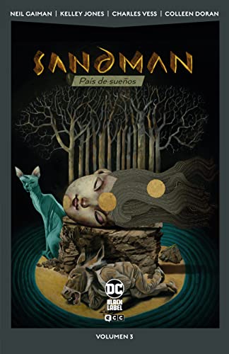 Cover of Sandman, Vol. 3