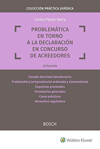 Cover of Problemática en torno a la declaración en concurso de acreedores