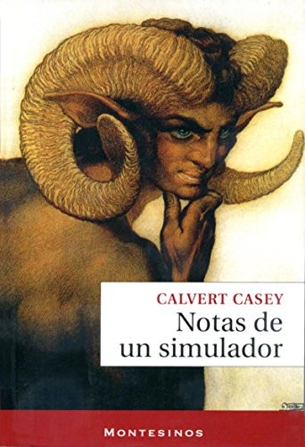 Cover of Notas de un simulador