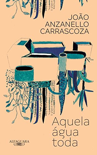 Cover of Aquela água toda