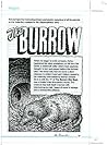 Cover of The Burrow