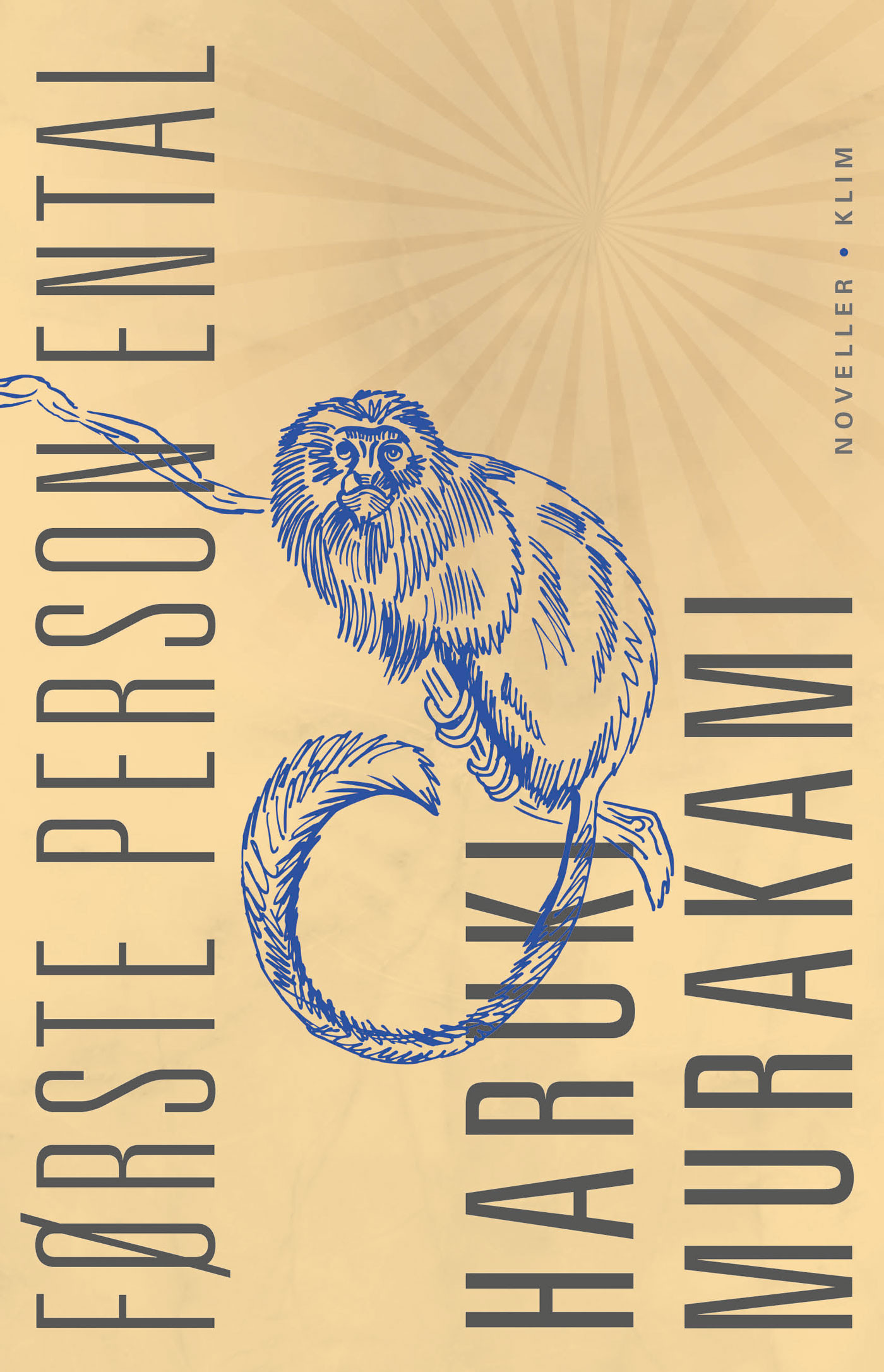 Cover of Første person ental
