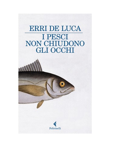 Cover of I pesci non chiudono gli occhi
