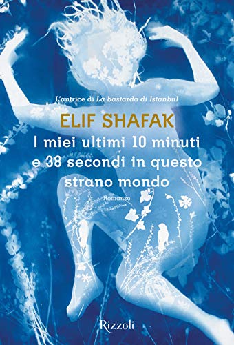 Cover of I miei ultimi 10 minuti e 38 secondi in questo strano mondo