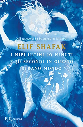 Cover of I miei ultimi 10 minuti e 38 secondi in questo strano mondo