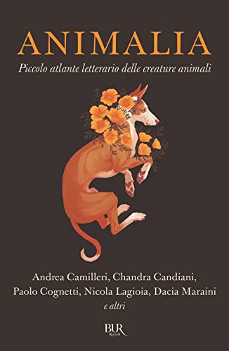Cover of Animalia: Piccolo atlante letterario delle creature animali