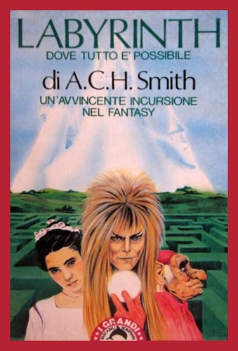 Cover of Labyrinth dove tutto e' possibile